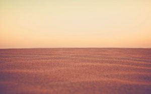 hero section with call to action 3319- Eyal Dror Consulting