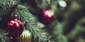 seasonal greetings discount 3527- Eyal Dror Consulting